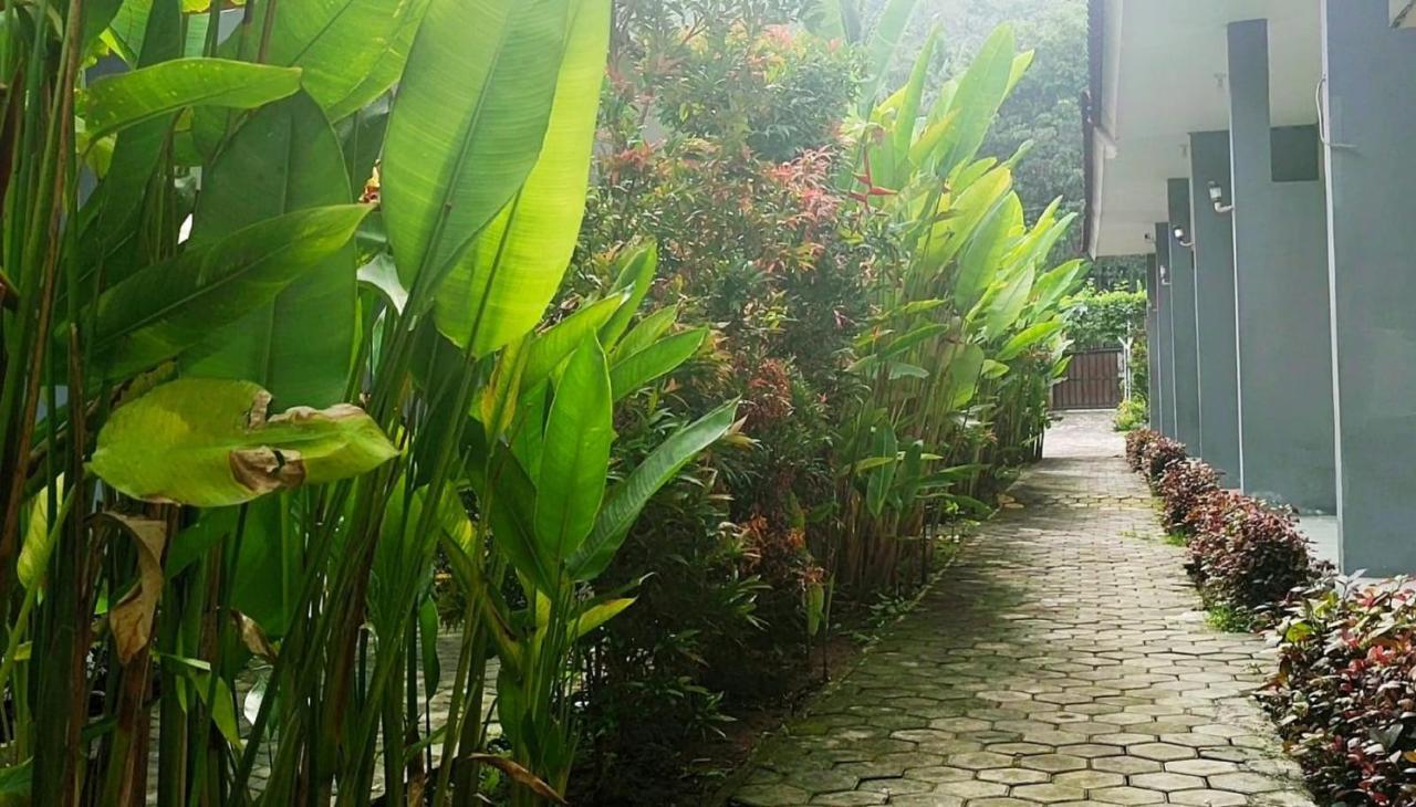 Oyo 2864 Mangsit Garden Homestay Eksteriør bilde